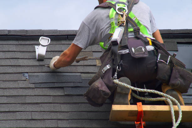 Best Metal Roofing Contractor  in Pella, IA